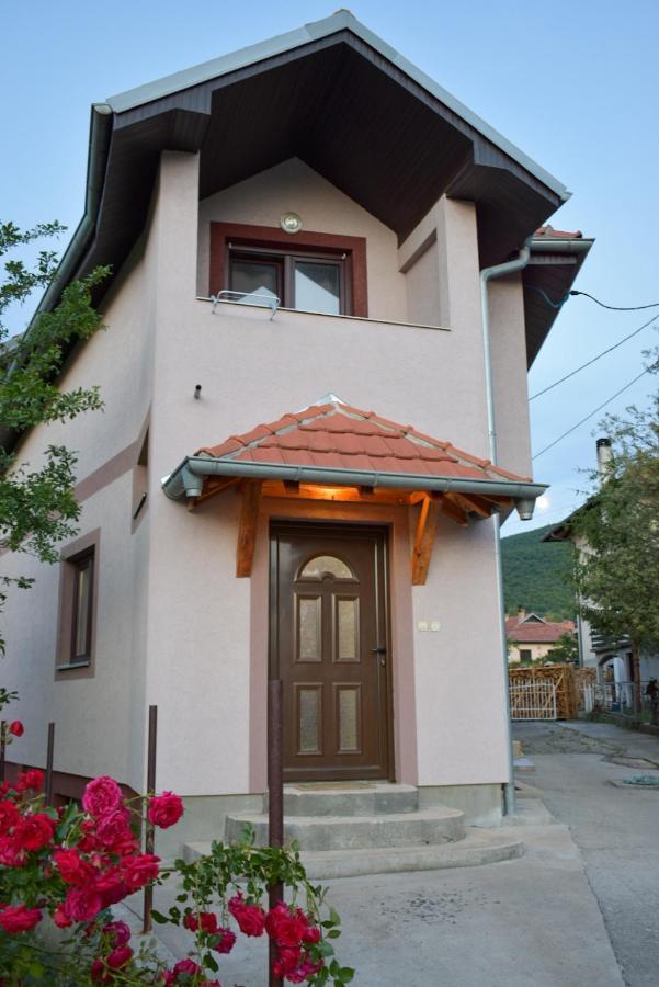 Apartman Jovana Сокобаня Экстерьер фото