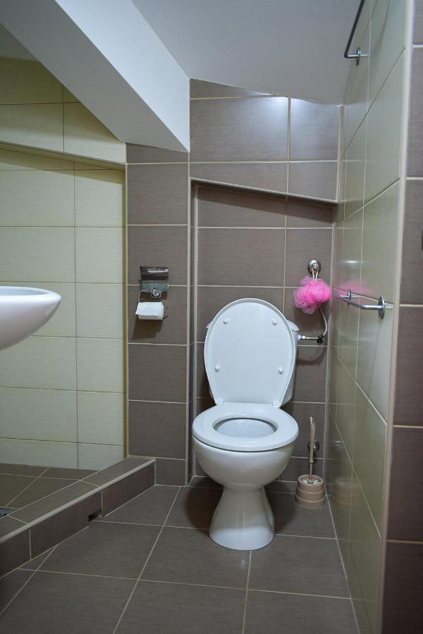 Apartman Jovana Сокобаня Экстерьер фото